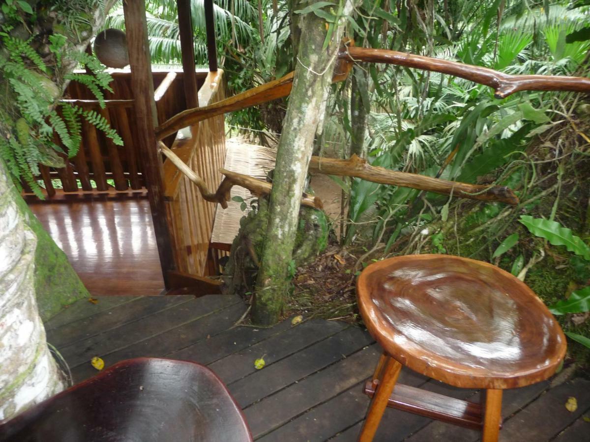 Topos Tree House