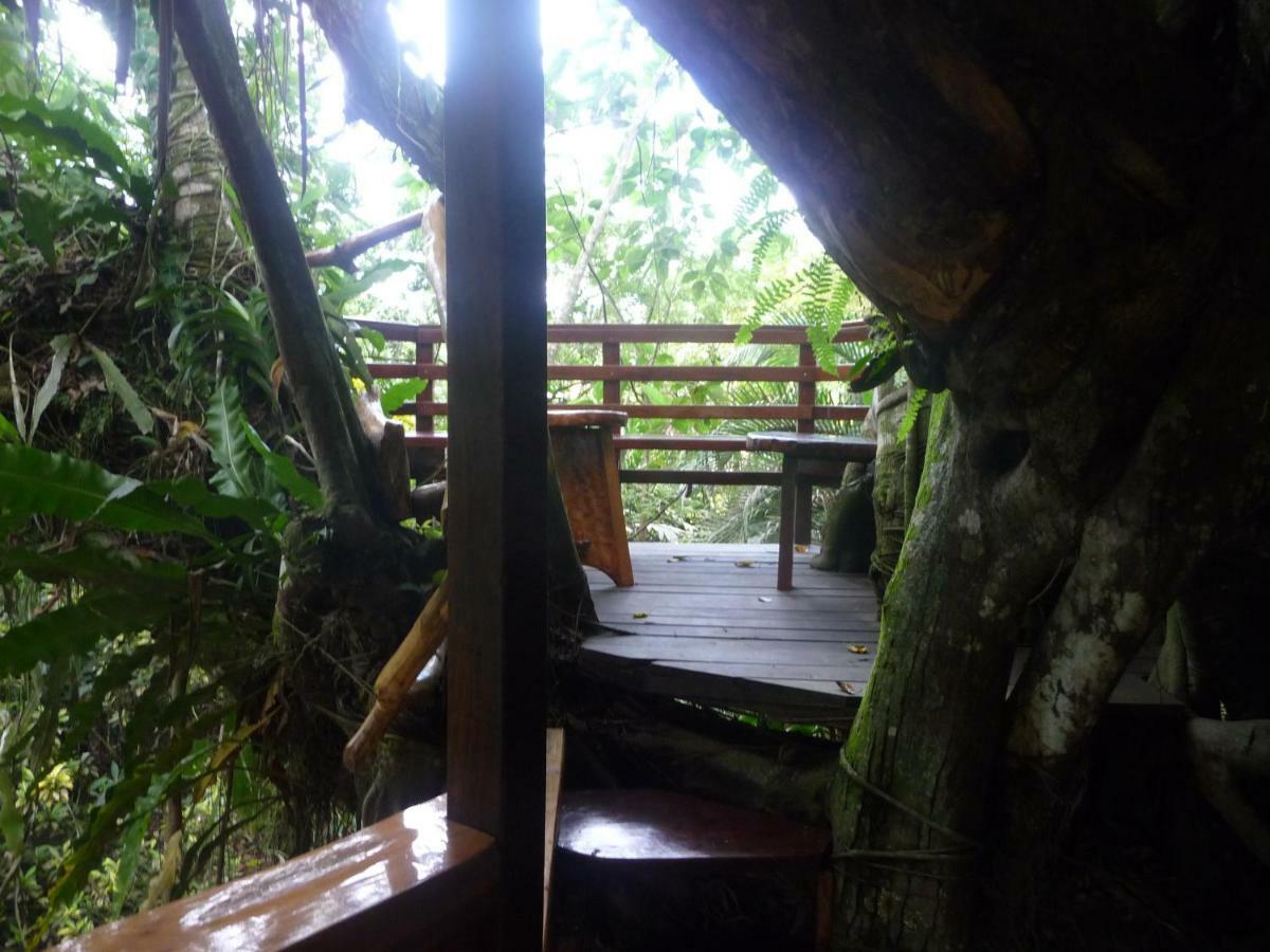 Topos Tree House Cahuita