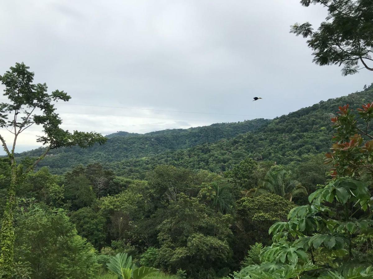 Bambura Hermosa Lodge *