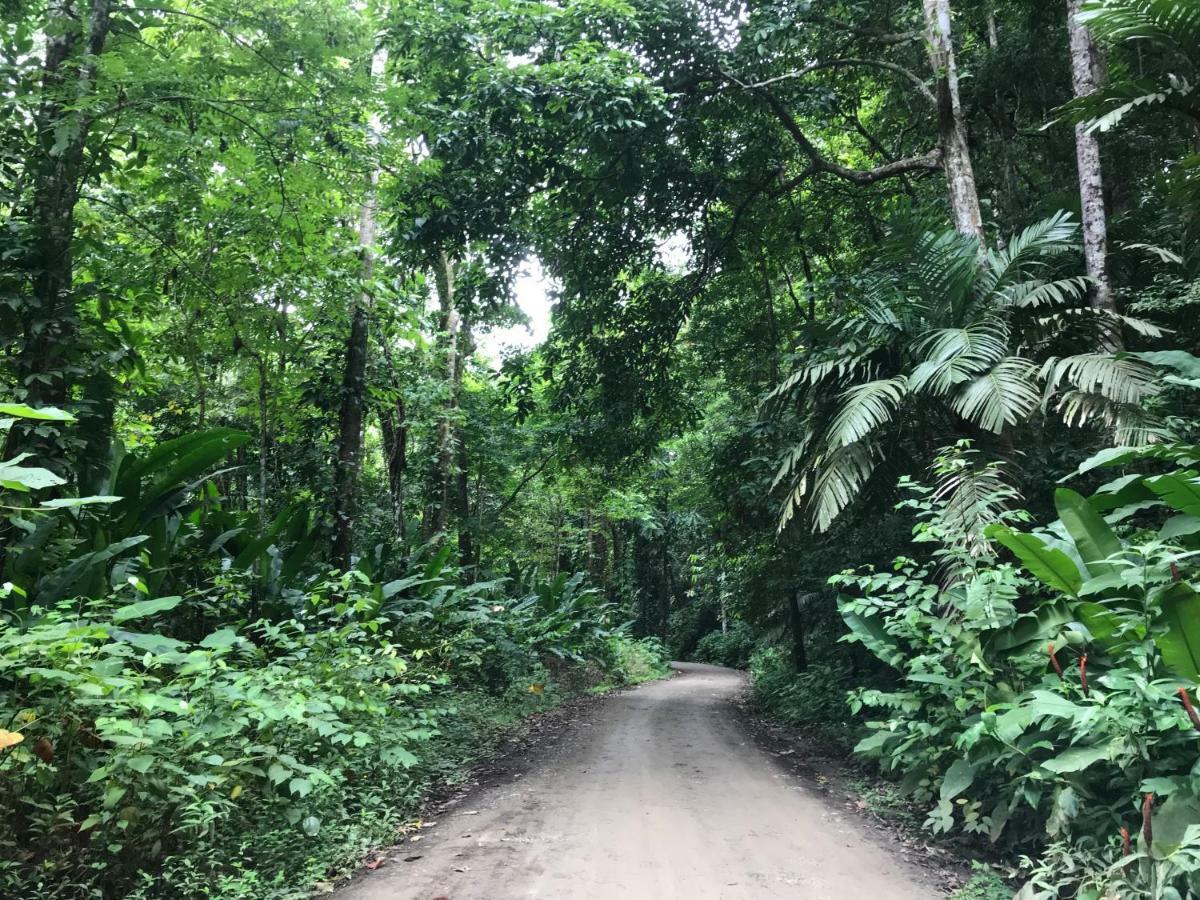 Lodge Bambura Hermosa