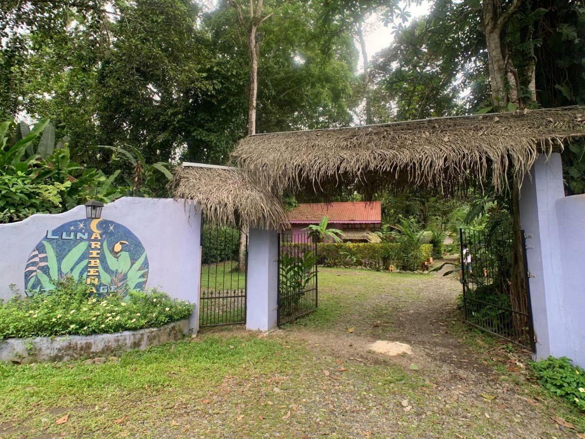 Luna Caribena Village Inn
