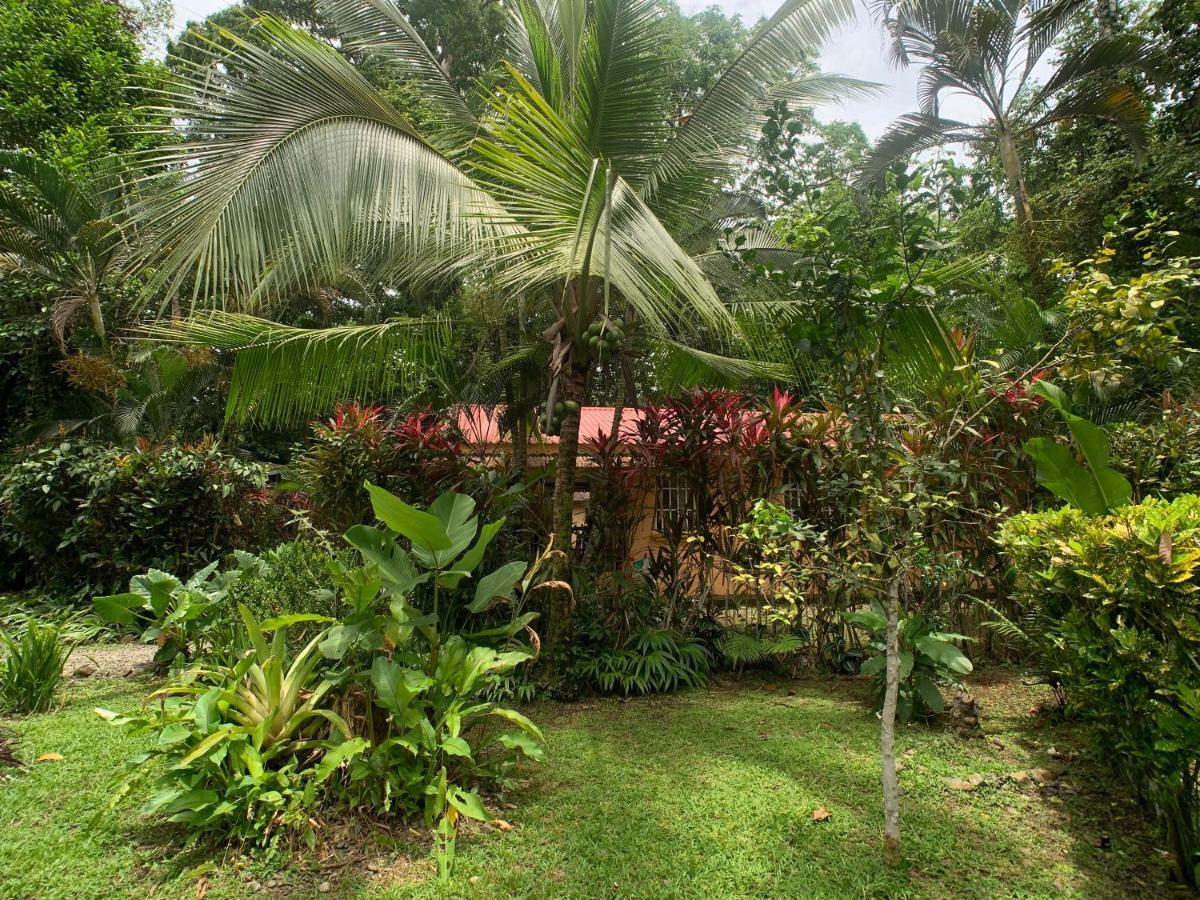 Inn Luna Caribena Village