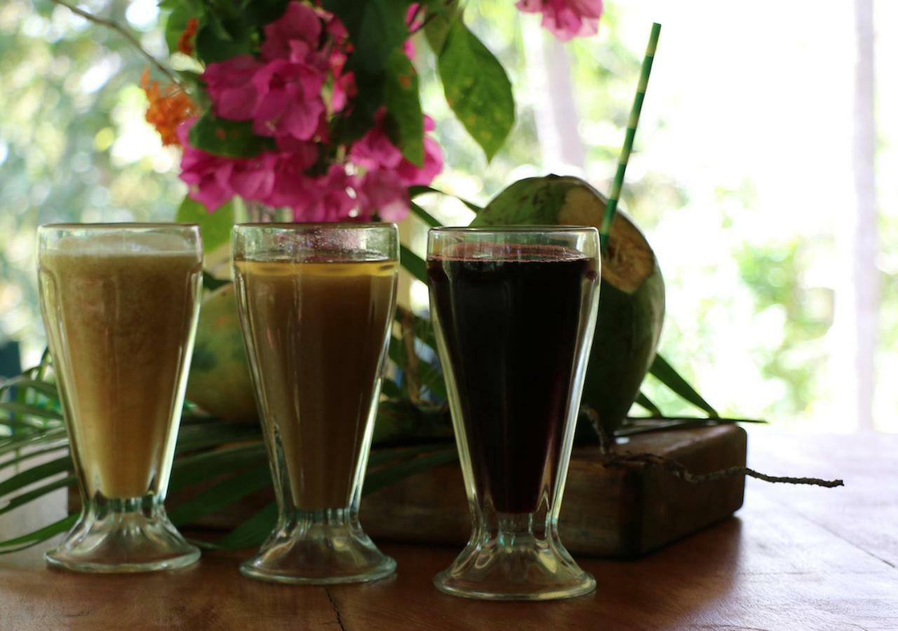 Retreat Bed & Breakfast Nosara