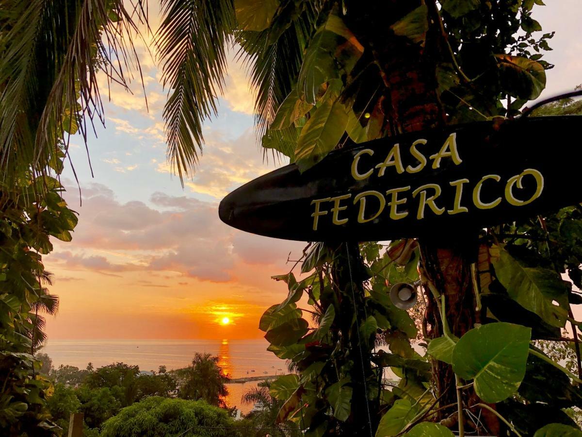 Guest house Casa Federico 3*