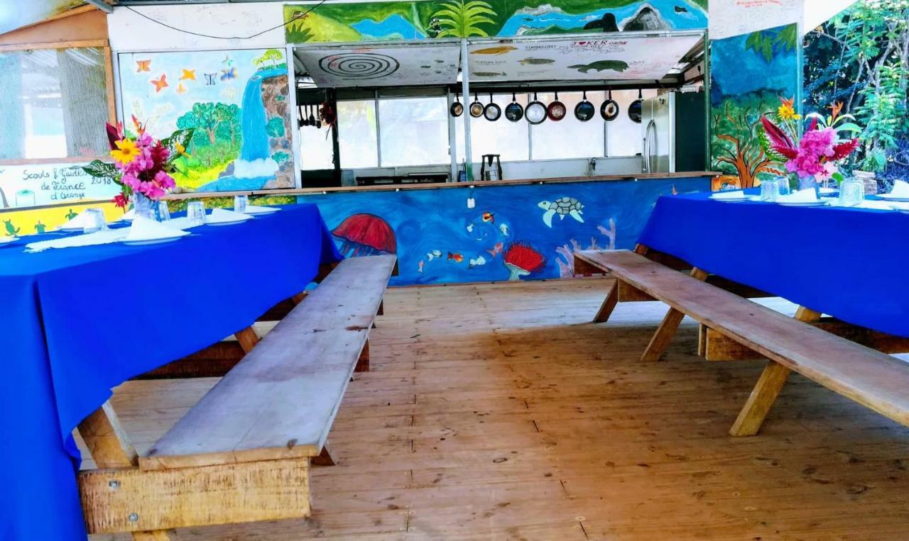 Life For Life Hostel: Sea Turtle Conservation At * Drake Bay