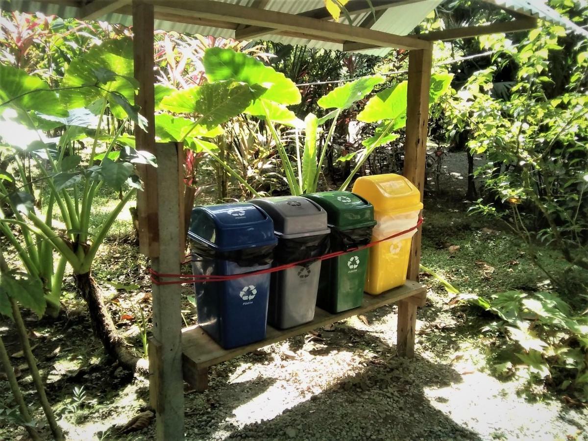 Cabinas Algebra Cahuita