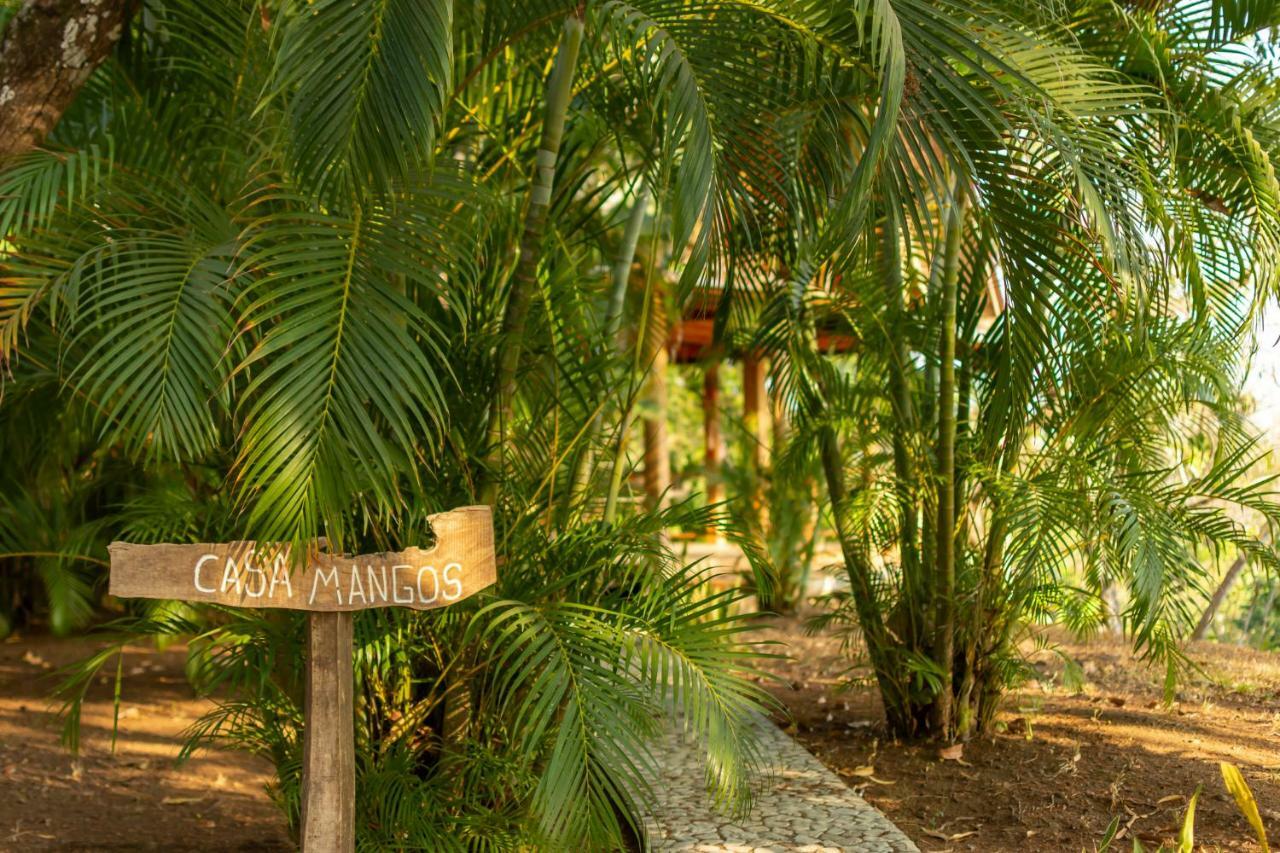 Calamocha Hotel Playa Santa Teresa (Puntarenas)