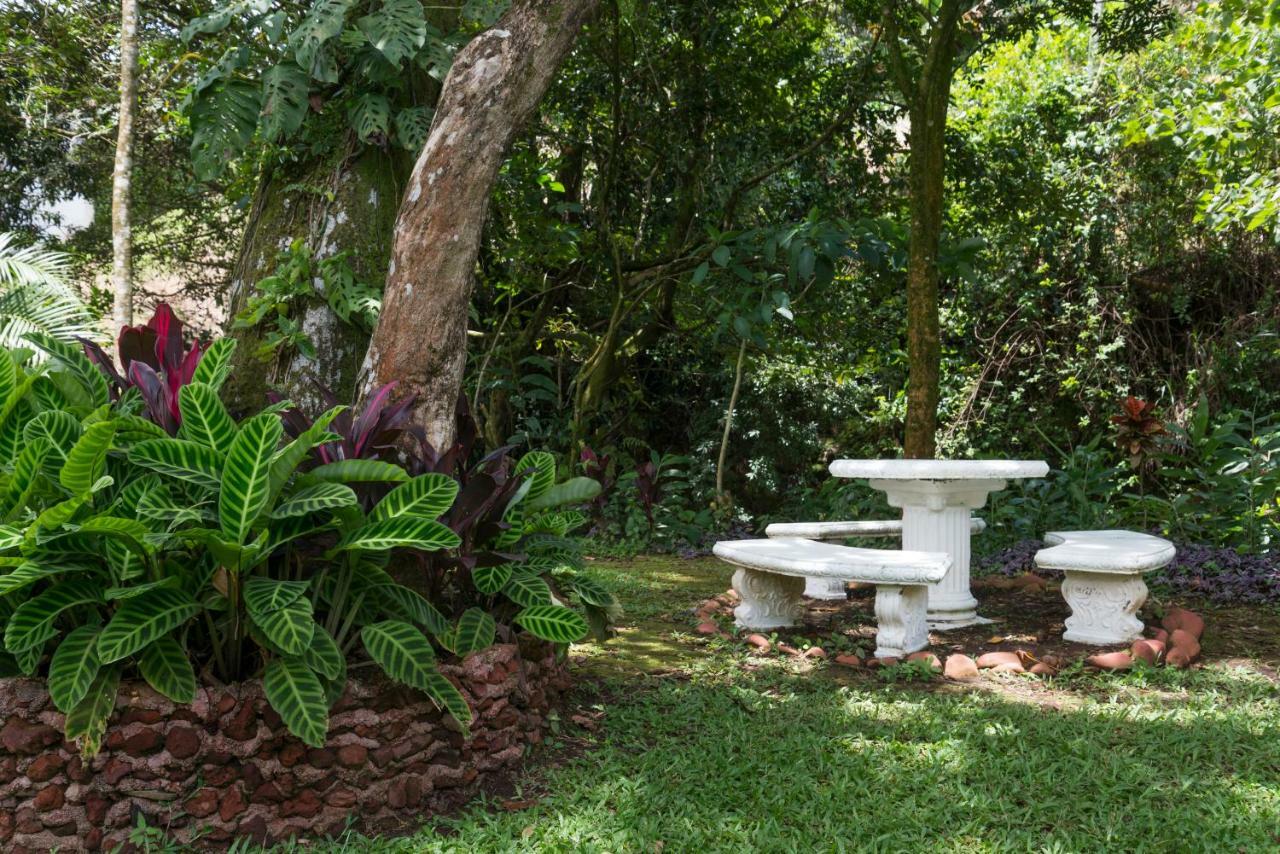 Bed & Breakfast La Terraza 3*