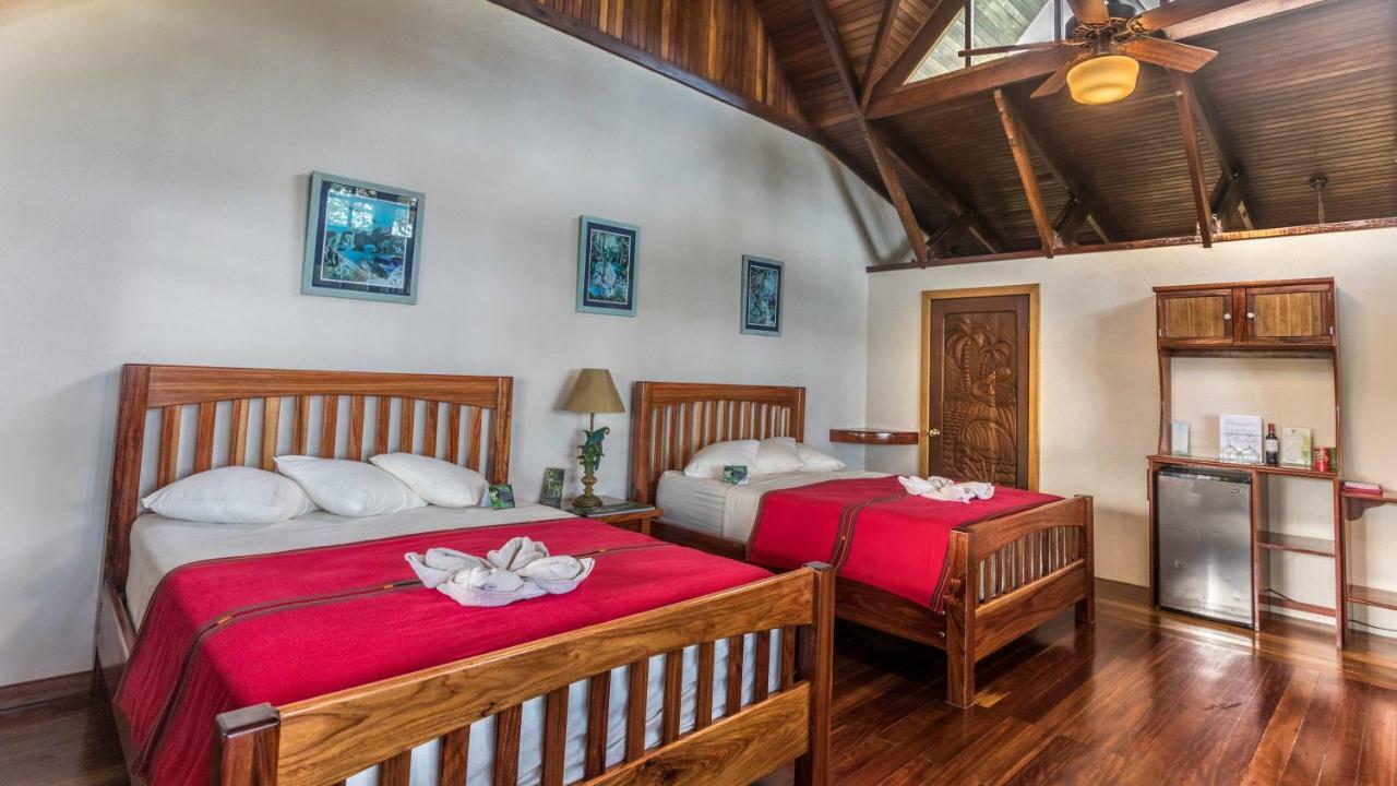 Hotel Aguila De Osa Rainforest 3*