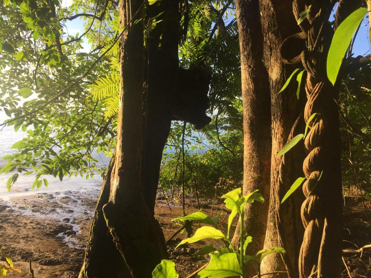 Aguila De Osa Rainforest 3* Drake Bay