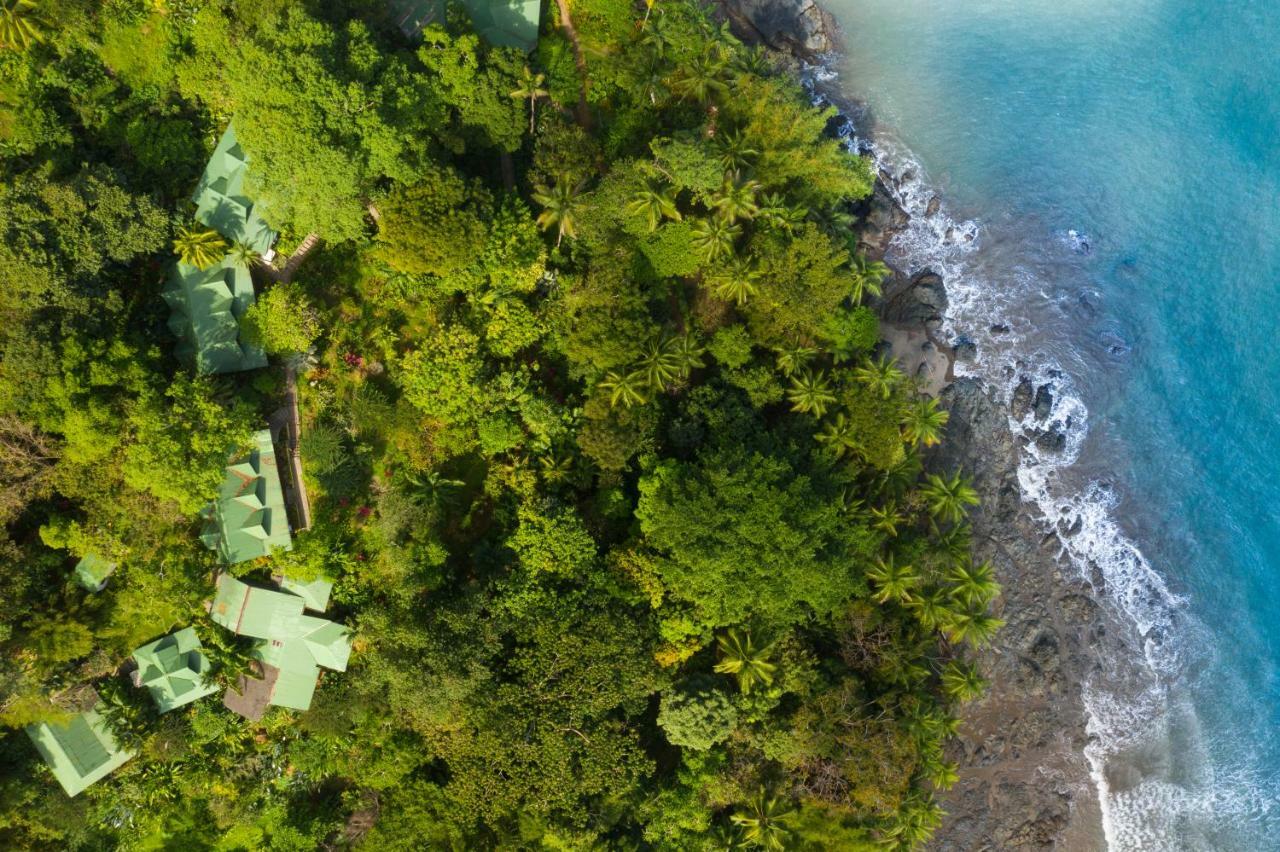 Aguila De Osa Rainforest Hotel 3*