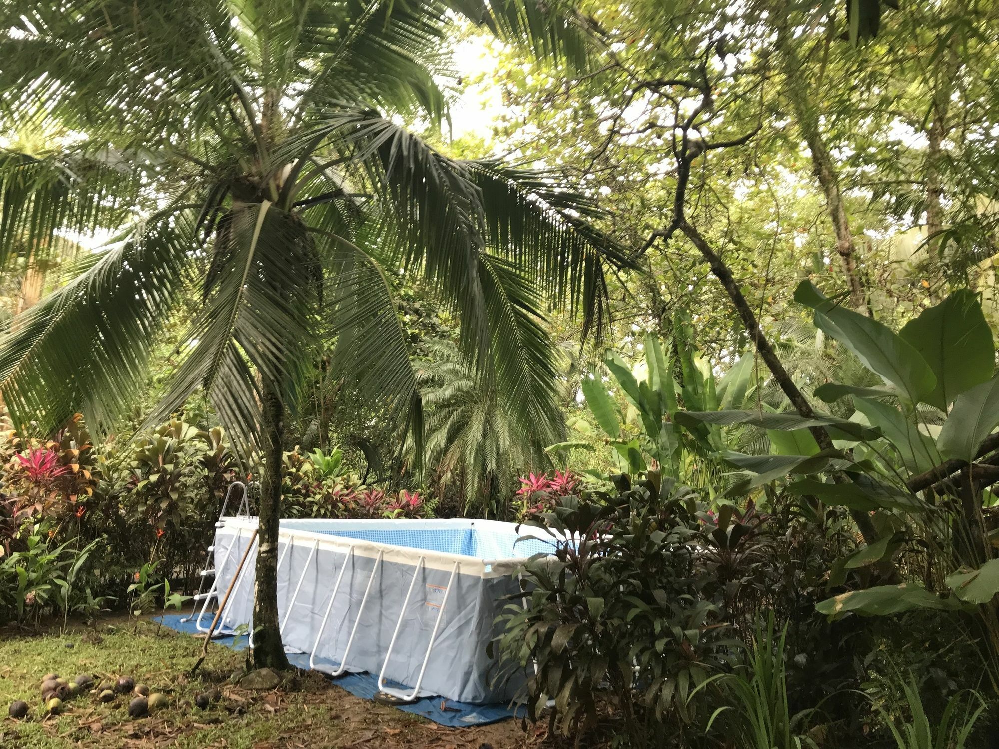 Hotel La Chosa Del Manglar