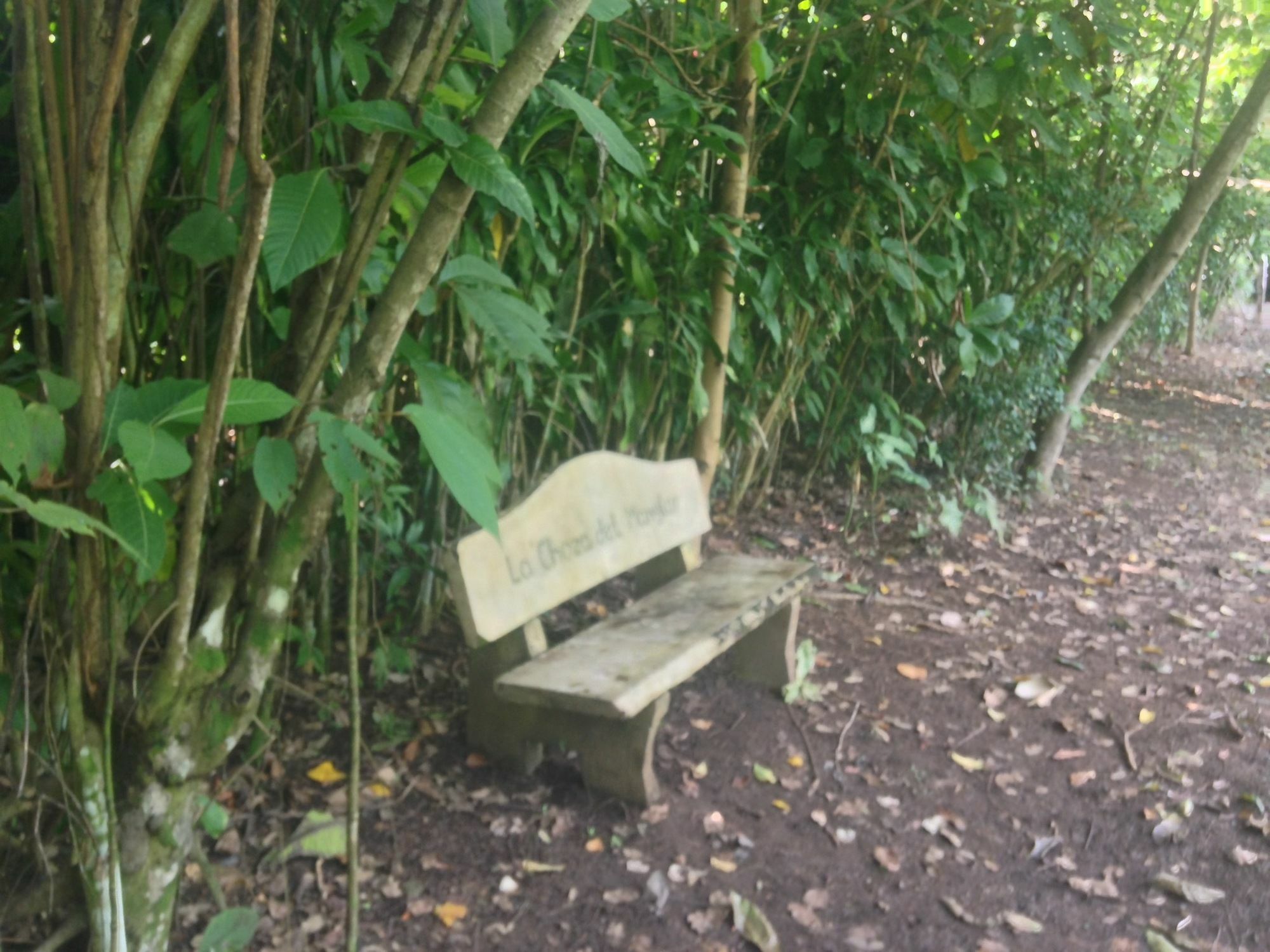 La Chosa Del Manglar Hotel 2*
