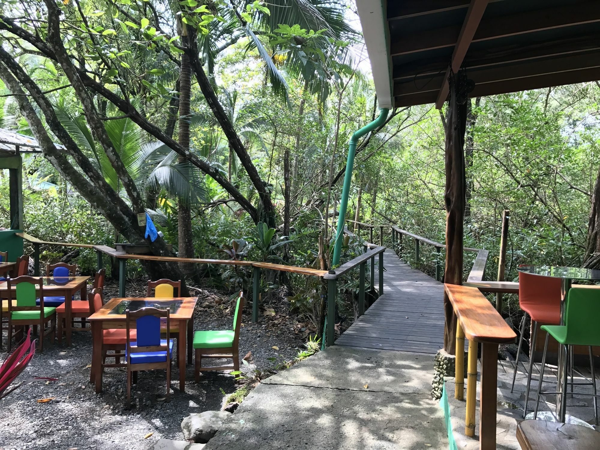 La Chosa Del Manglar