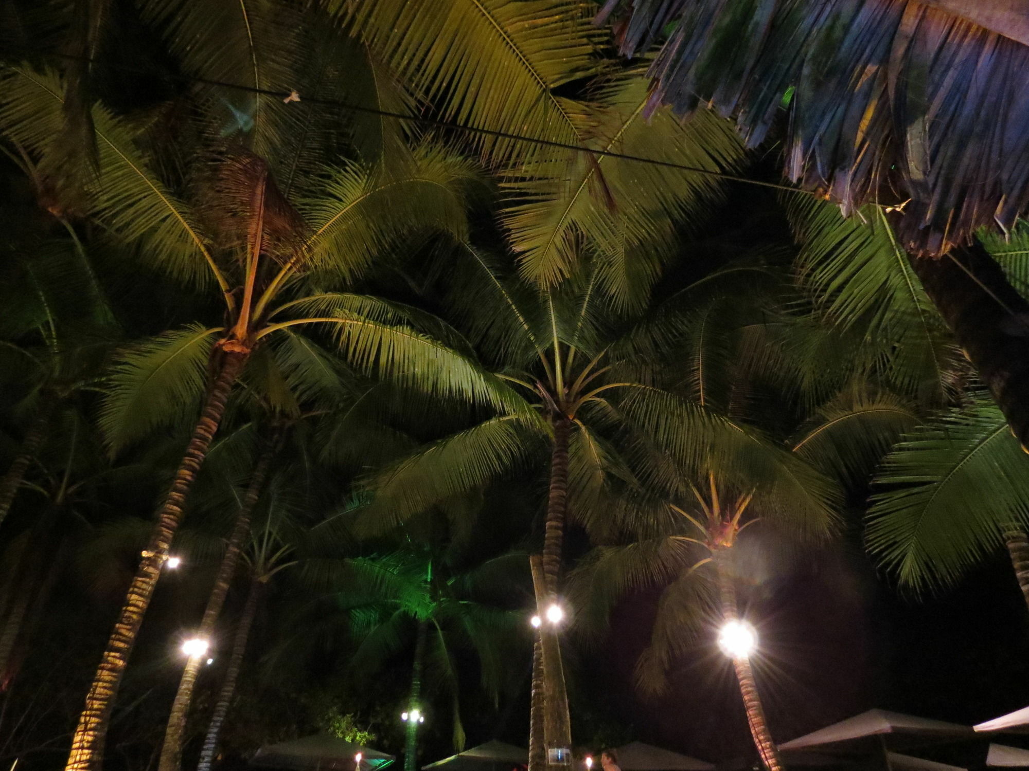 Rustico Santa Teresa Nicoya