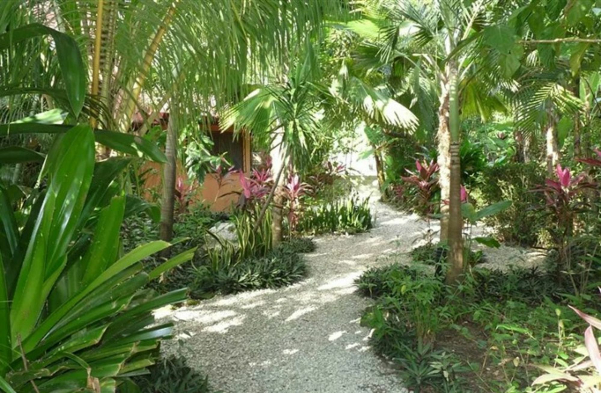 Teak Pacific