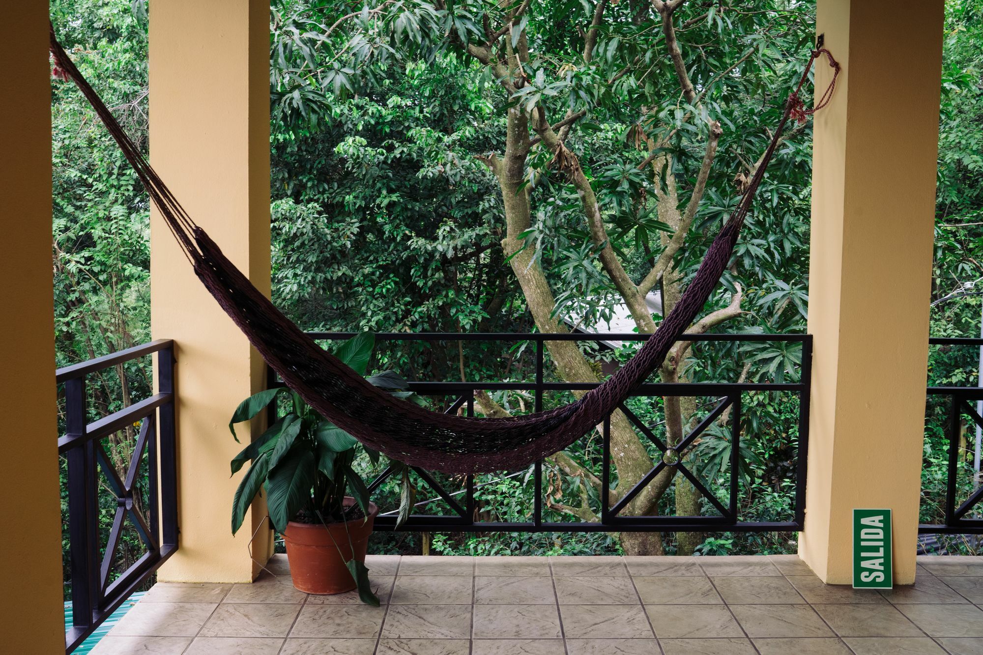 Mango Moon Manuel Antonio