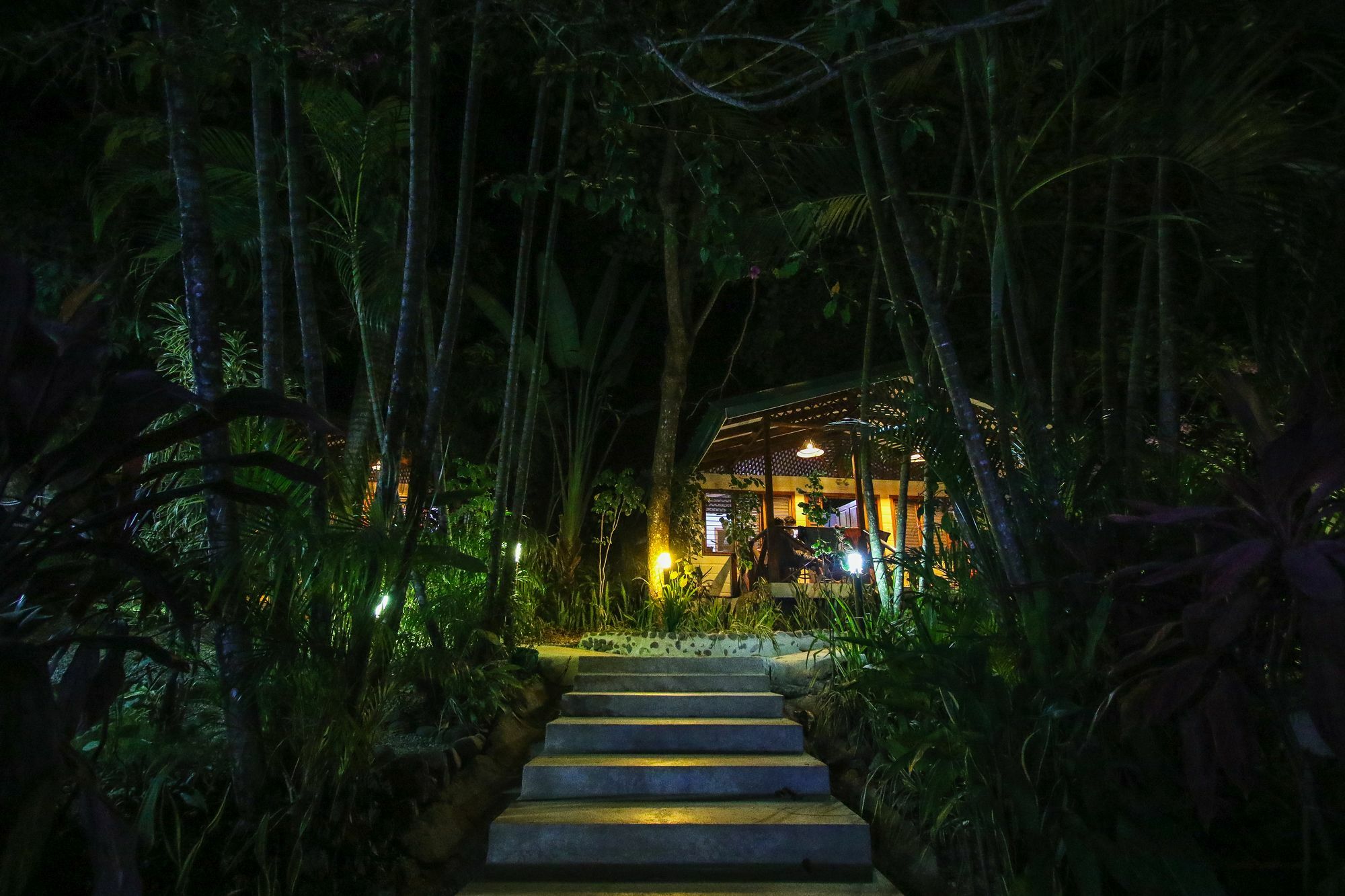 Oasis Mal Pais