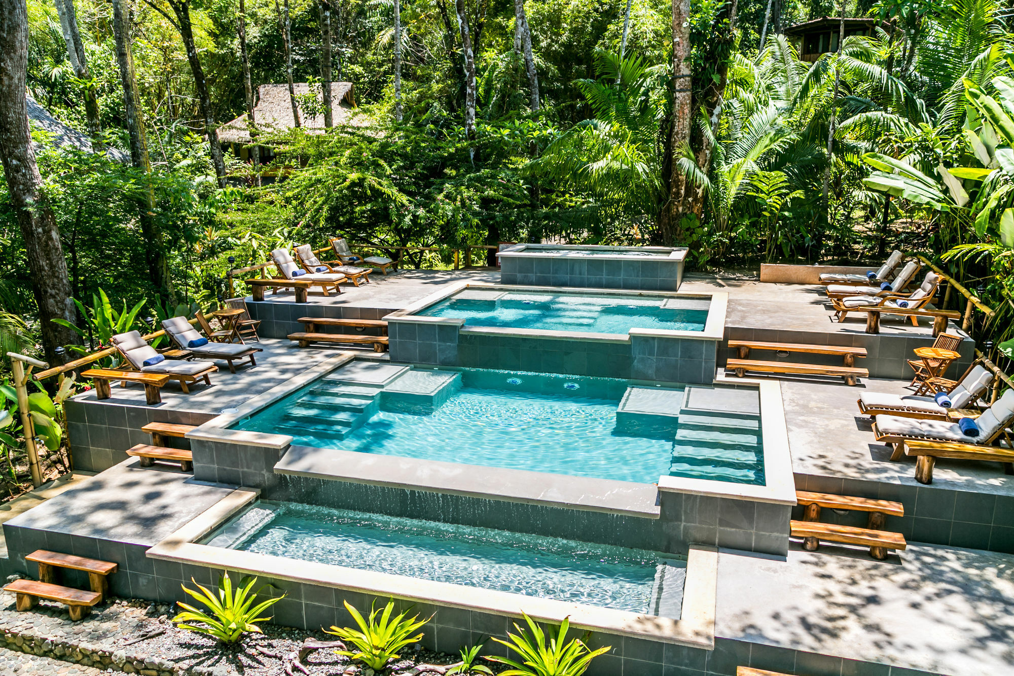 Resort Copa De Arbol & Rainforest Drake Bay