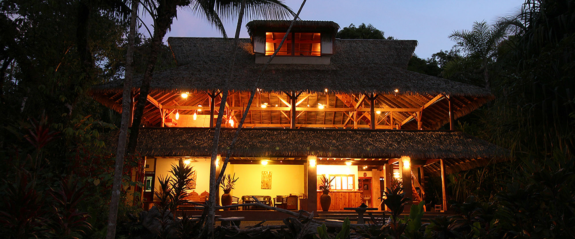 Copa De Arbol & Rainforest