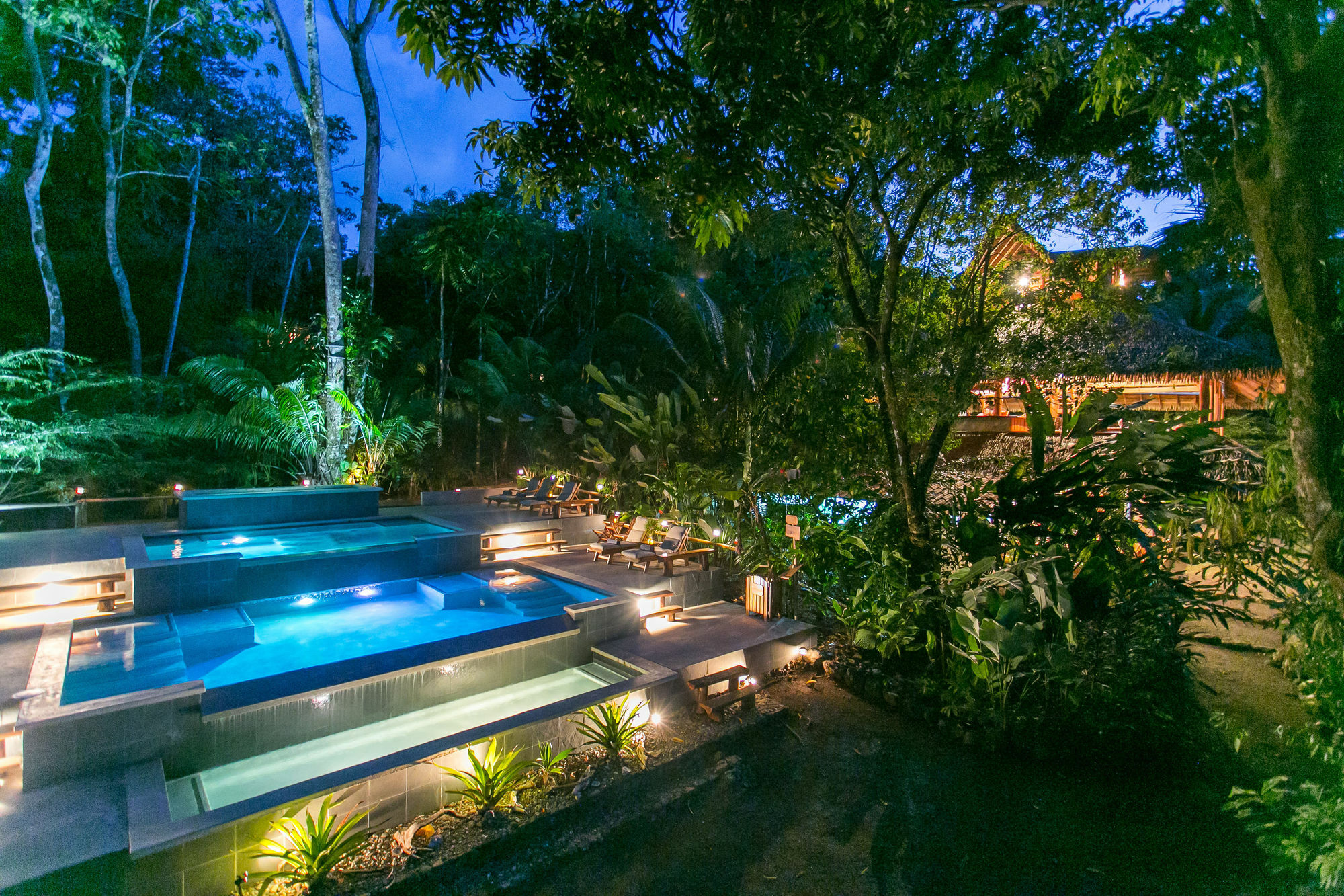 Copa De Arbol & Rainforest
