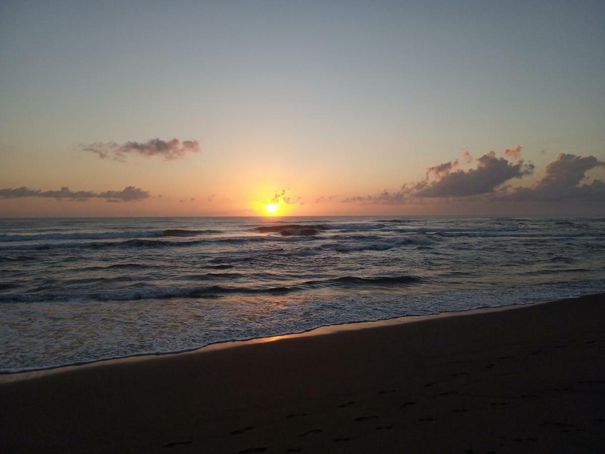 Lodge Tortuguero Adventures Beach House