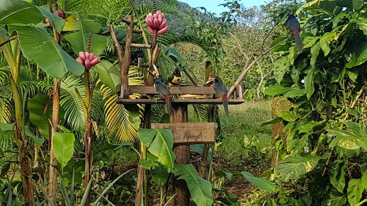 Brisas Arenal La Fortuna