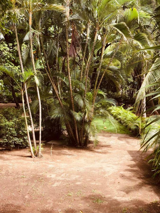 Casa Estero