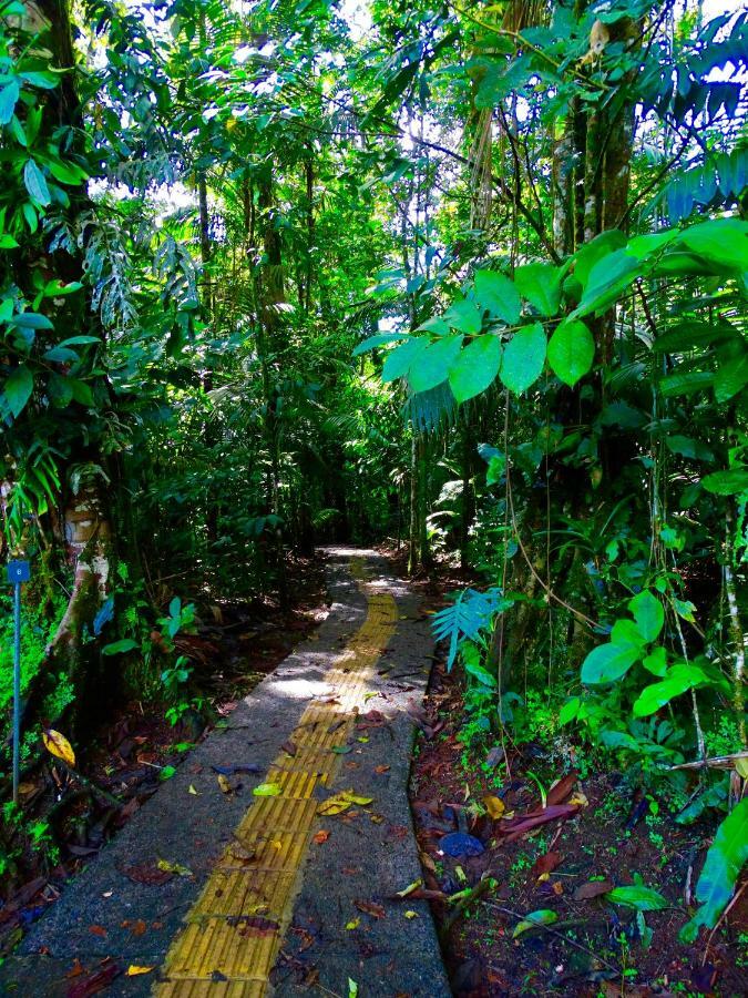 La Selva Biological Station Sarapiqui