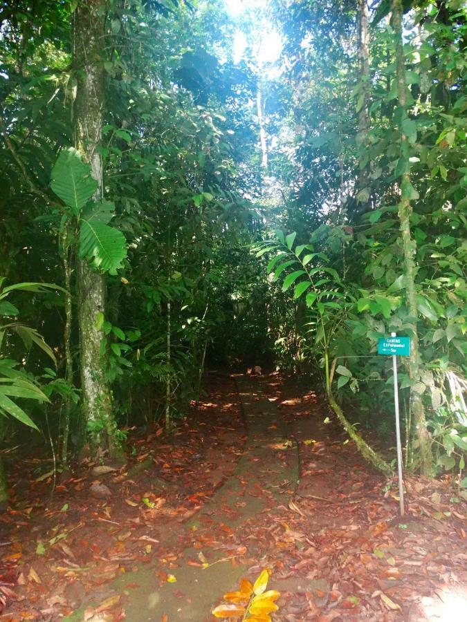 Hotel La Selva Biological Station 2*