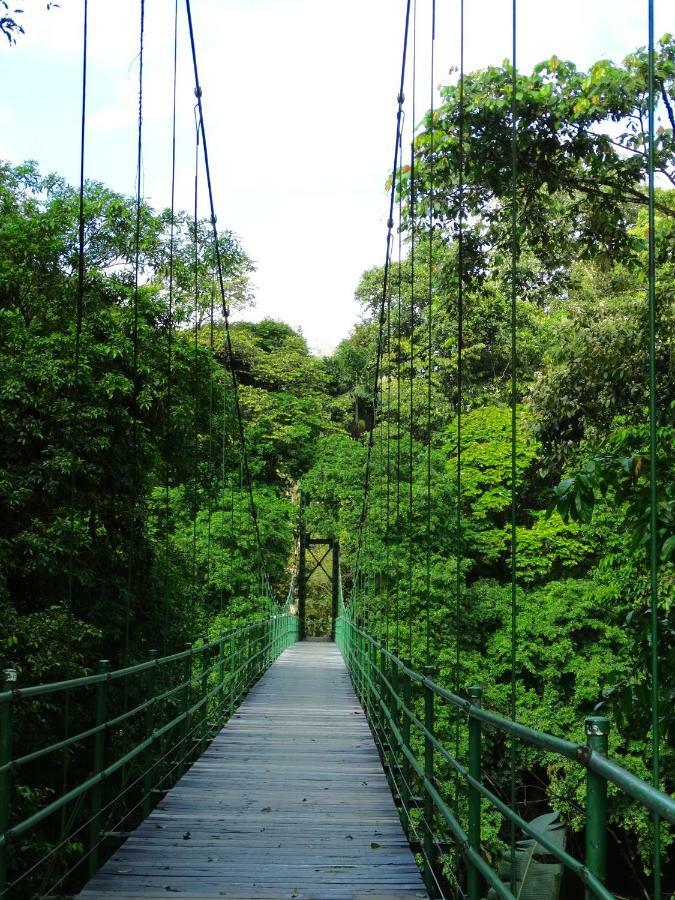 La Selva Biological Station 2*