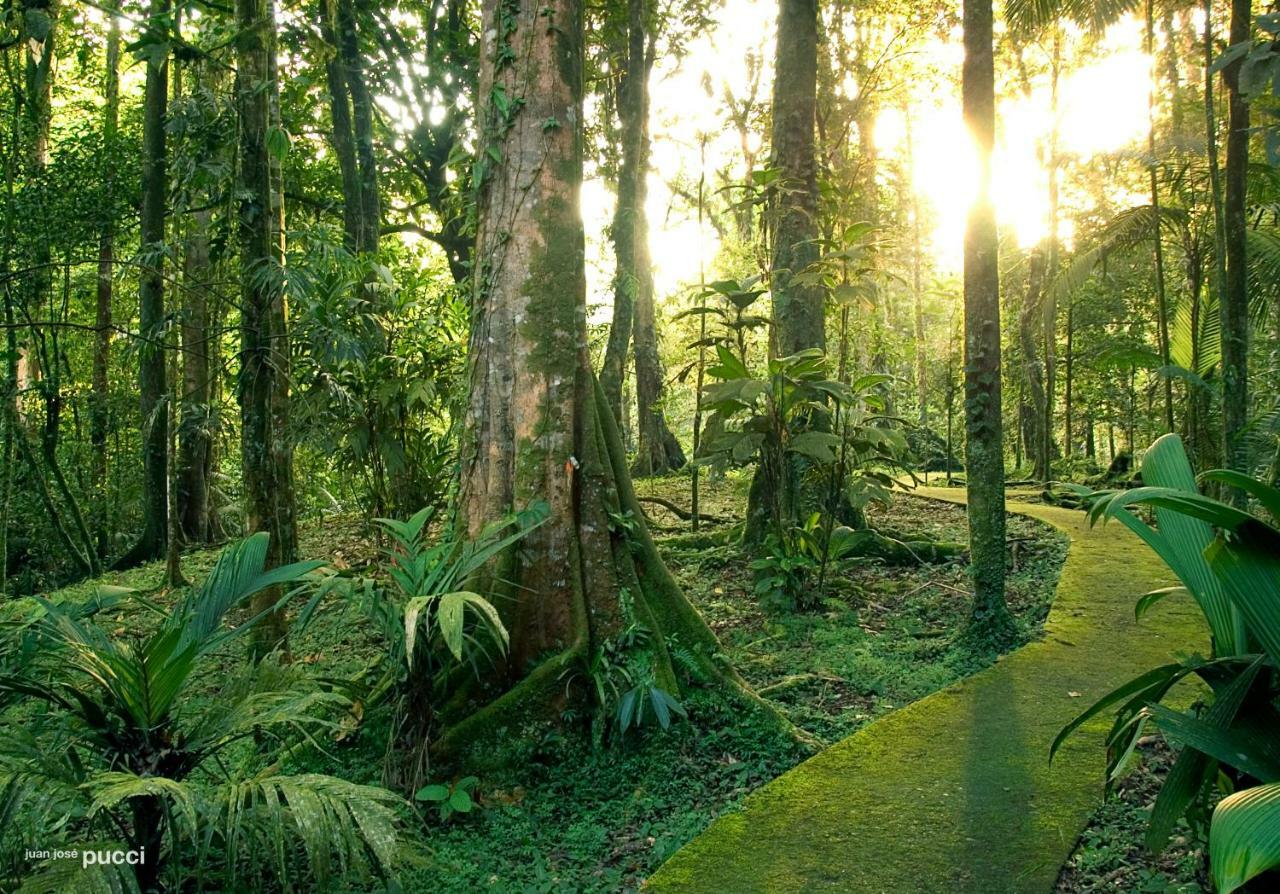 Hotel La Selva Biological Station