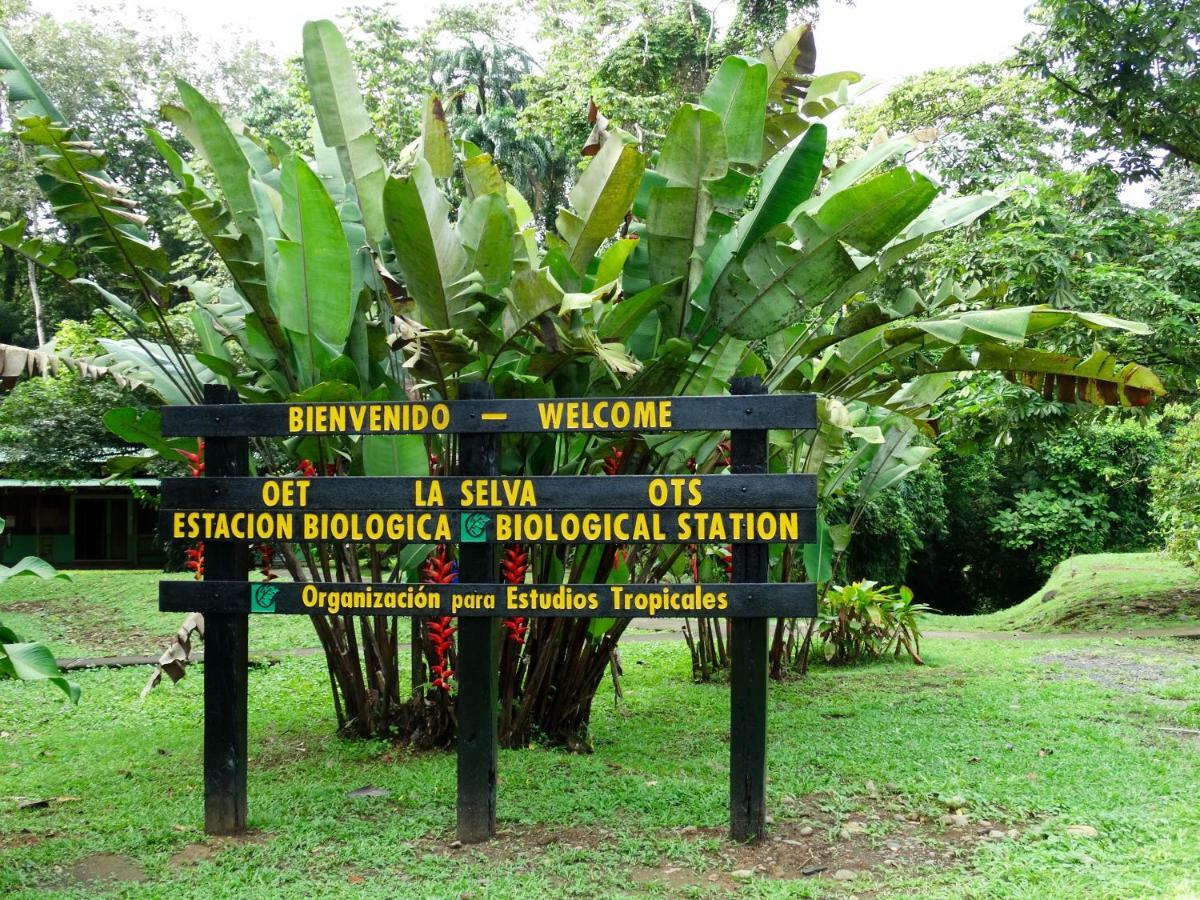 La Selva Biological Station 2* Sarapiqui
