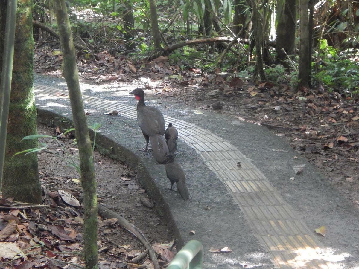 La Selva Biological Station 2* Sarapiqui