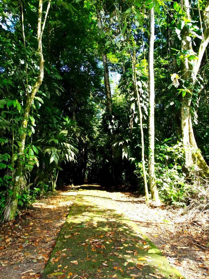 Hotel La Selva Biological Station