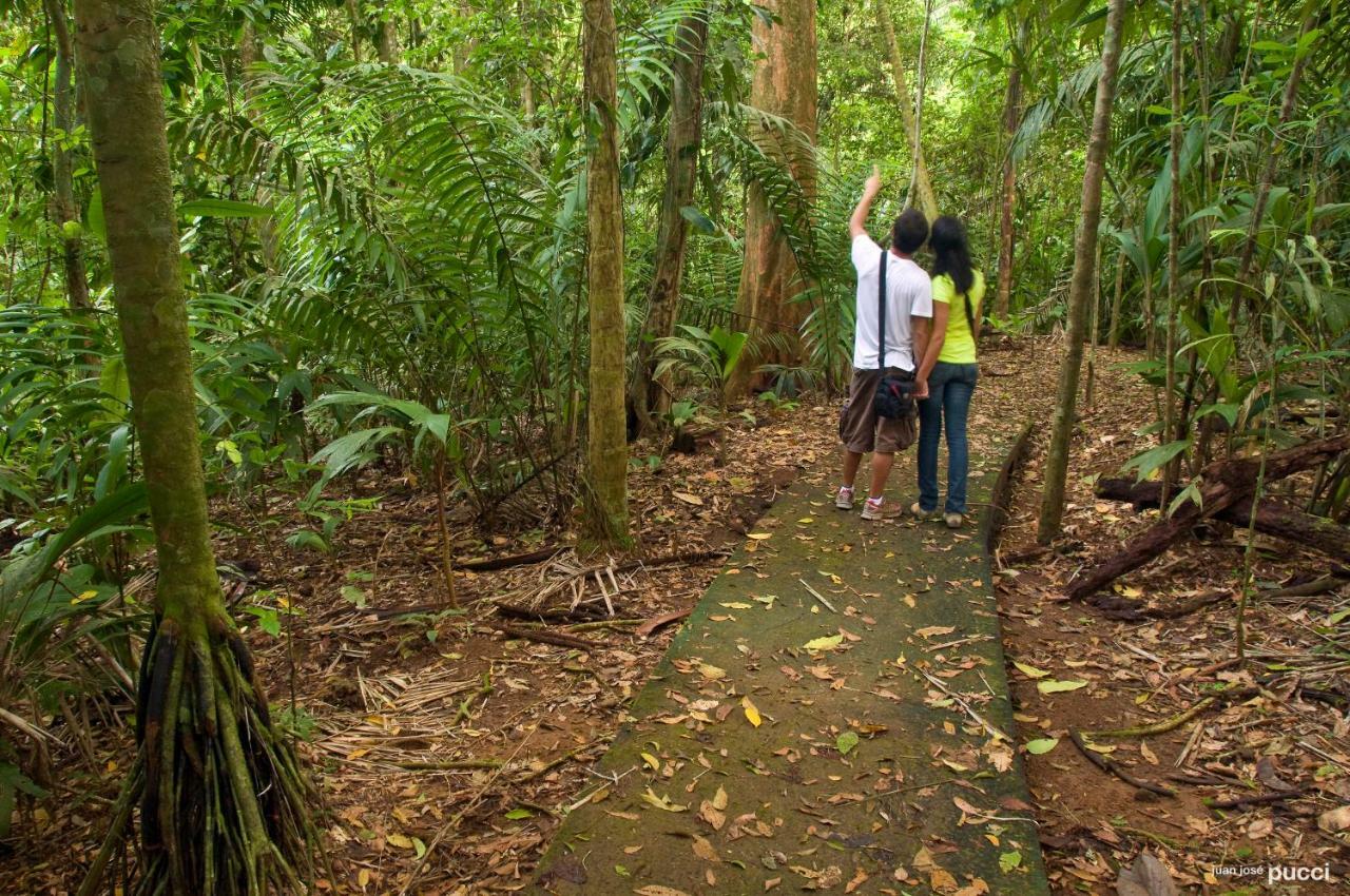 Hotel La Selva Biological Station