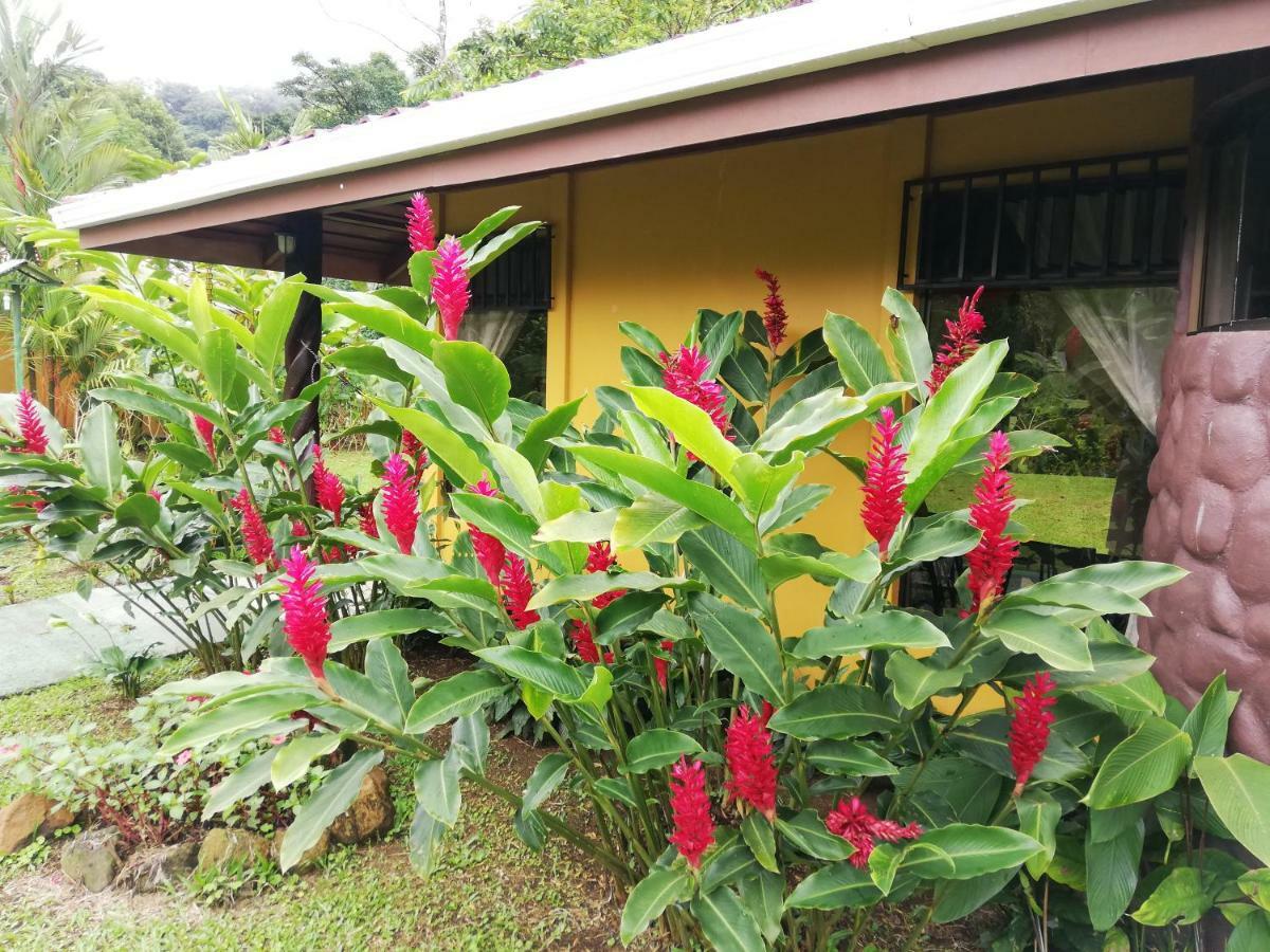 Catarata Rio Celeste Hotel