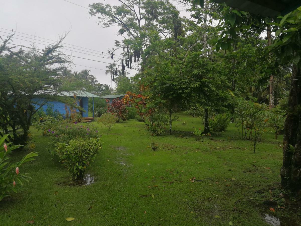 Rankins Eco-lodge Tortuguero