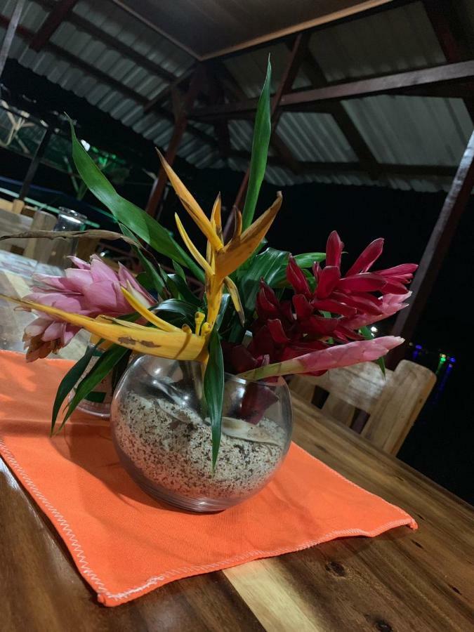 Rankins Eco-lodge Tortuguero