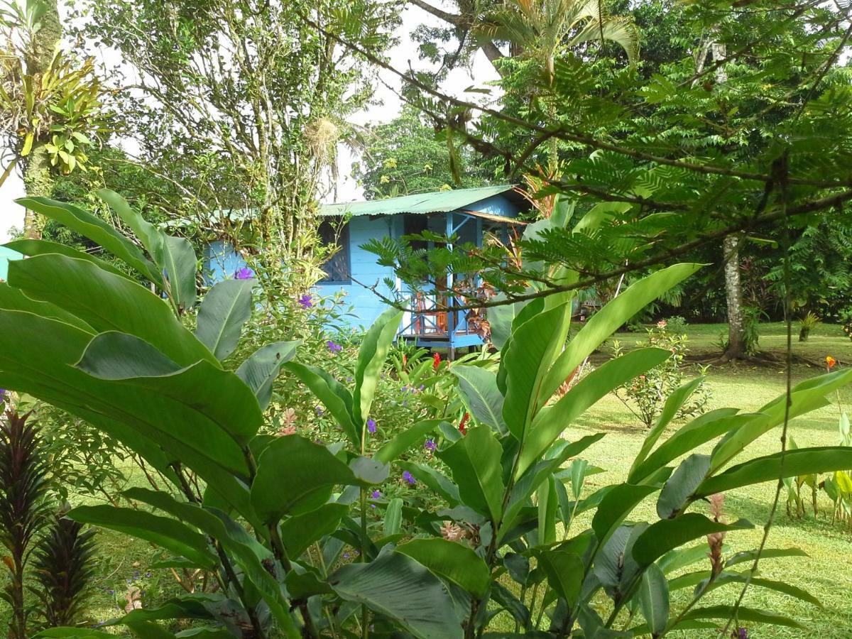 Rankins Eco-lodge Lodge