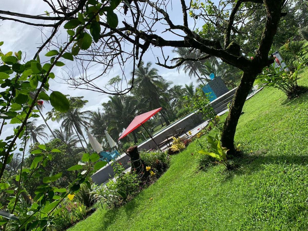Rankins Eco-lodge Lodge *