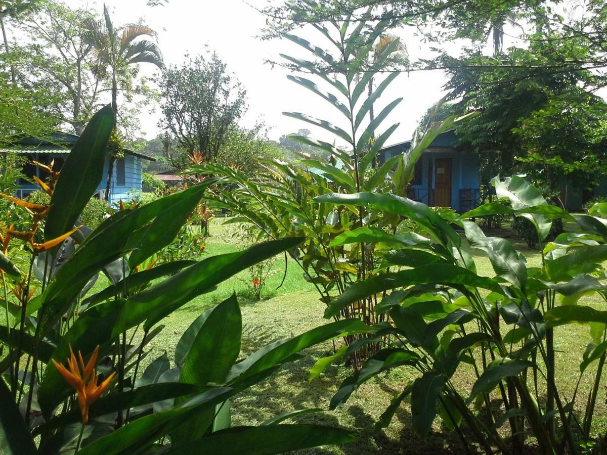 Lodge Rankins Eco-lodge Tortuguero