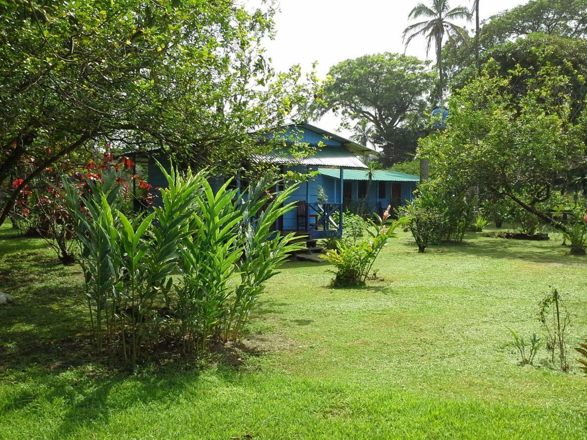 Rankins Eco-lodge Lodge