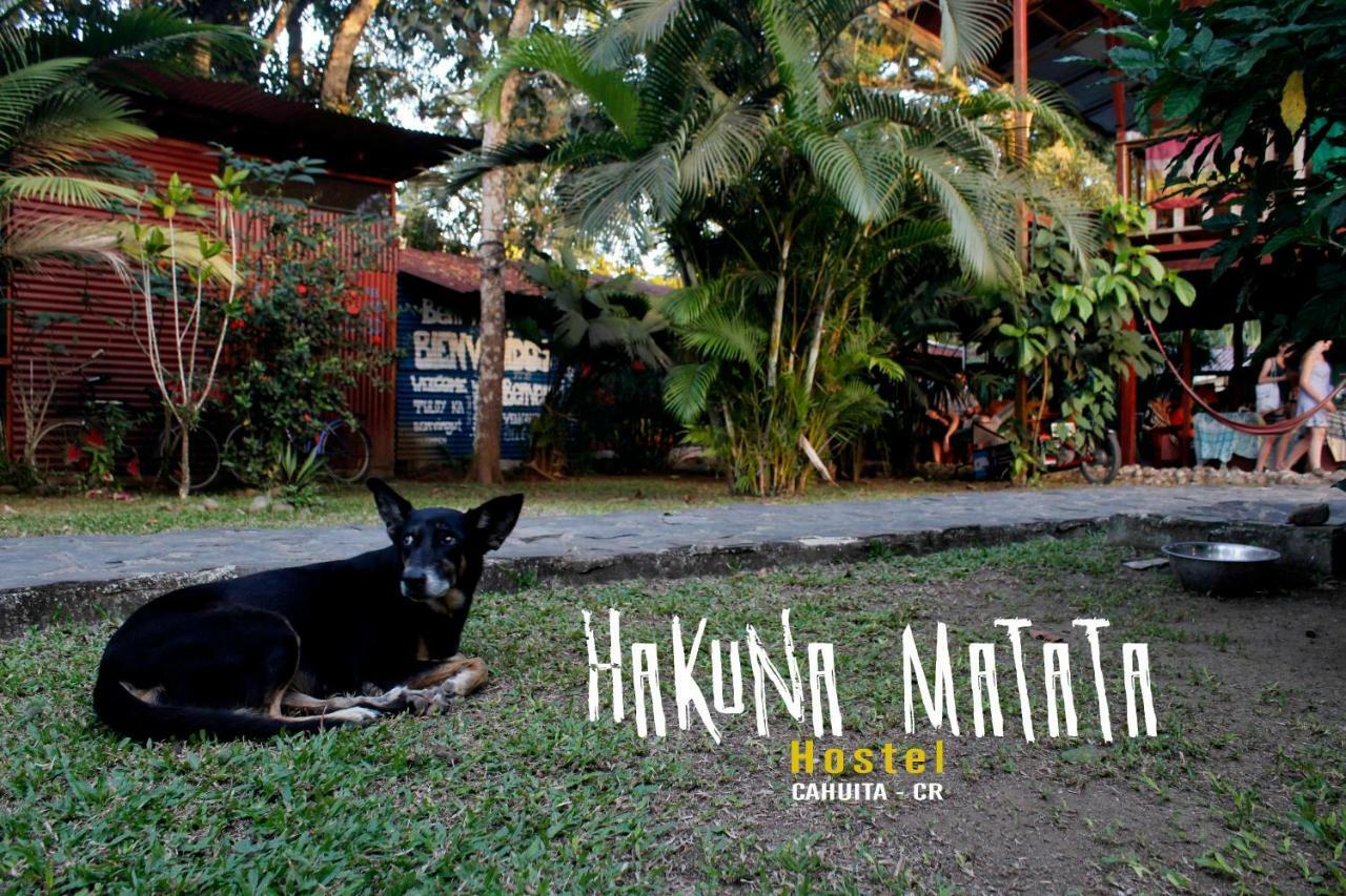 Hakuna Matata Hostel