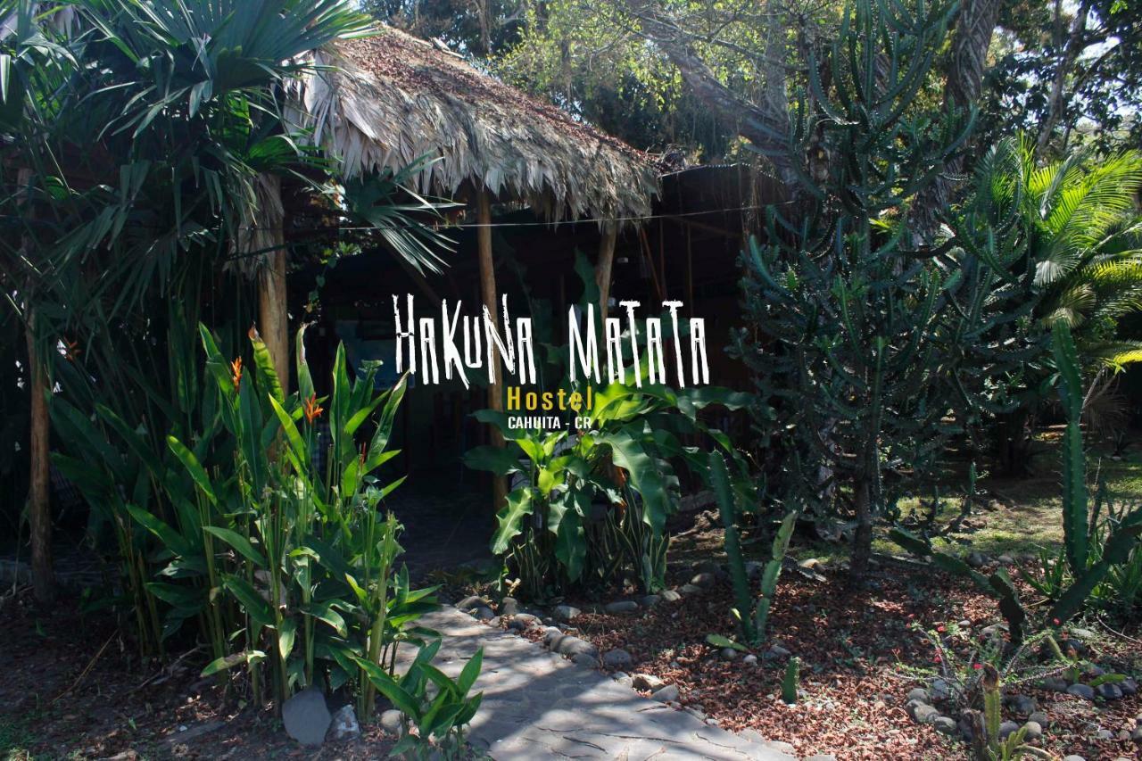 Hakuna Matata Hostel