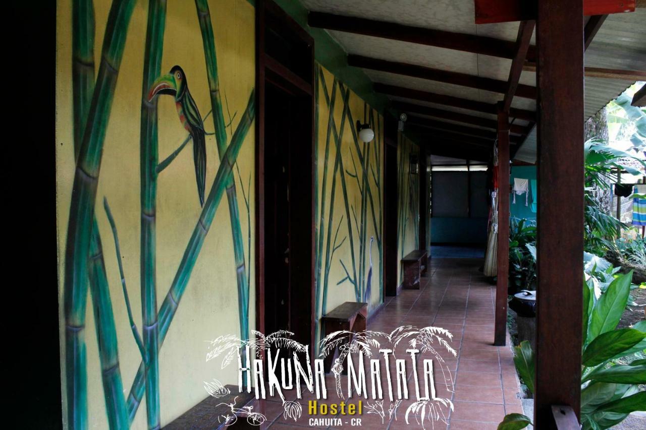 Hakuna Matata Hostel *