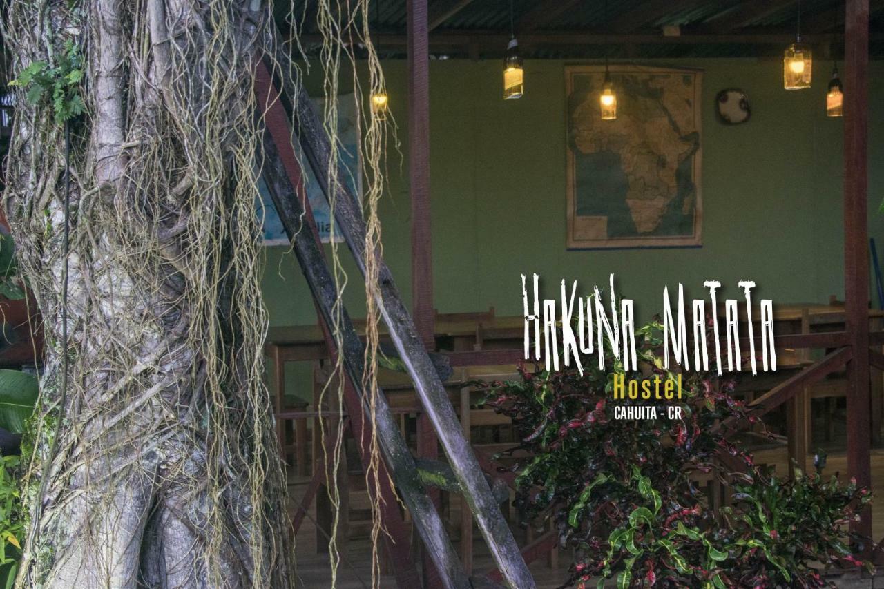 Hakuna Matata Hostel *