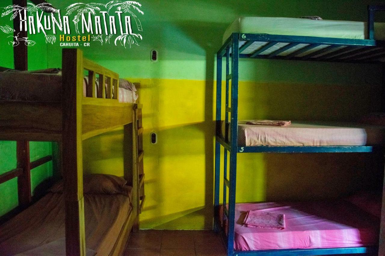 Hakuna Matata Hostel