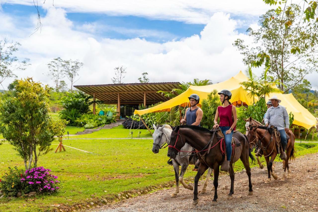Luxury tent Kinkara Luxury Retreat *