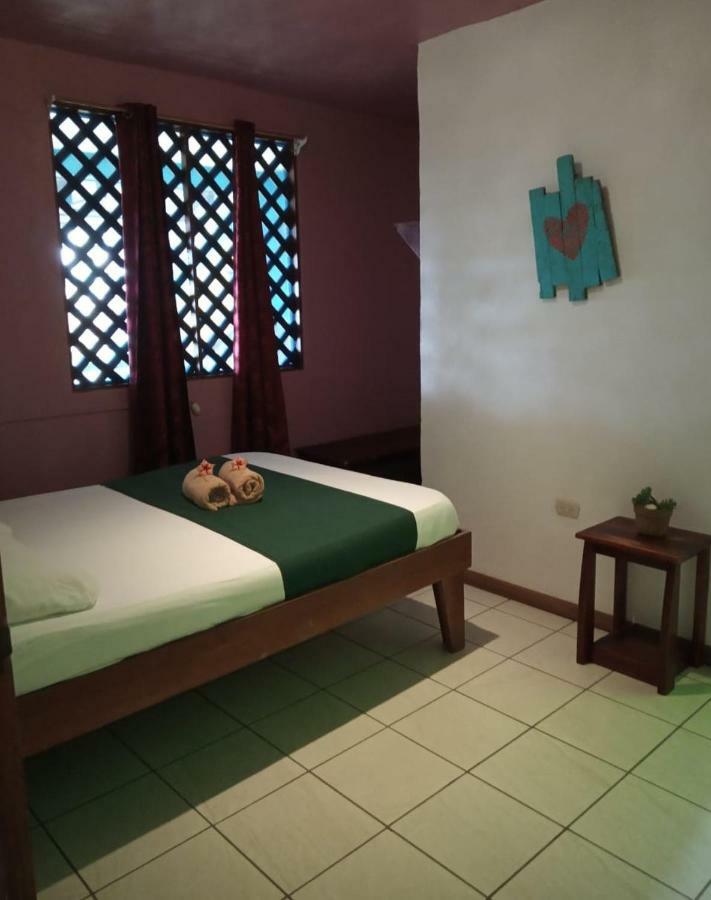 Tortuguero Adventures Beach House *